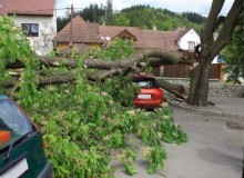 Kwikfynd Tree Cutting Services
farrantshill